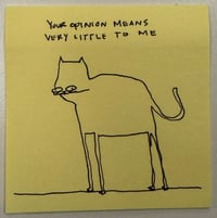 Opinion 