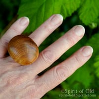 Image 1 of Savernake Oak Ring (RN003)