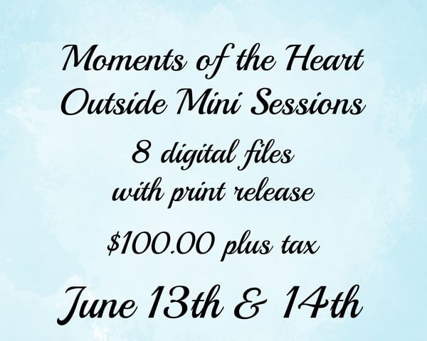 Image of June 14th- Outdoor Mini Sessions 