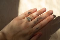Image 3 of Silver Immaculate Spiral Ring