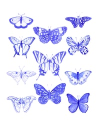 Image 2 of Papillon à l'encre