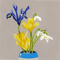 Image 1 of Spring 1