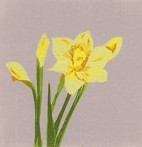 Spring 2