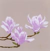 Spring 3