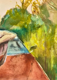 Image 3 of Summer Blaze 