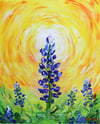 Texas Bloom 