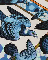Image 3 of Rose City Band | 50x70 cm Screen print