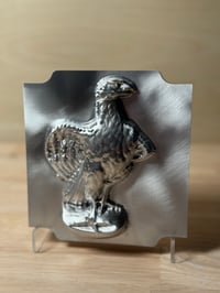 Image 2 of Eagle