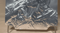 Image 4 of Werewolf