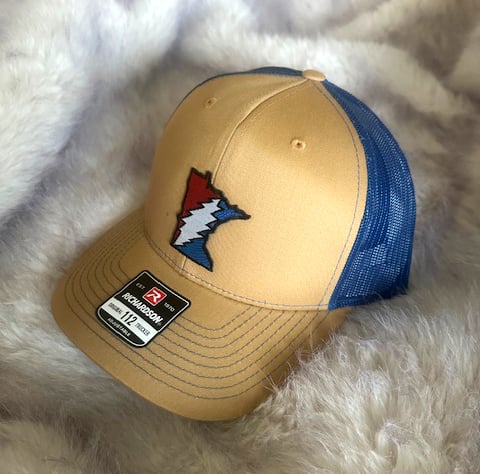 MN Steal Your State Hat Bear Brown and Blue