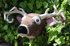 "Humanity of the Stag" Image 2
