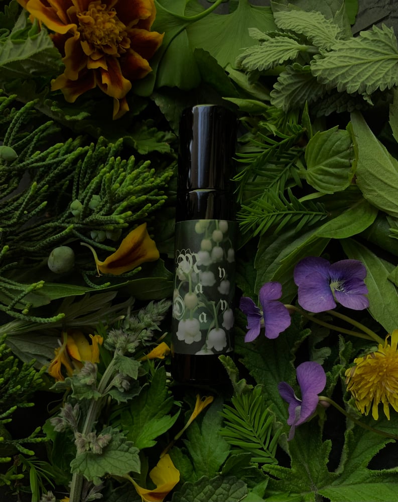 Image of May Day Perfume (Tomato Leaf, Basil, Birch, Linden)