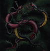 Valac - "Under the Ophidians Curse" CD