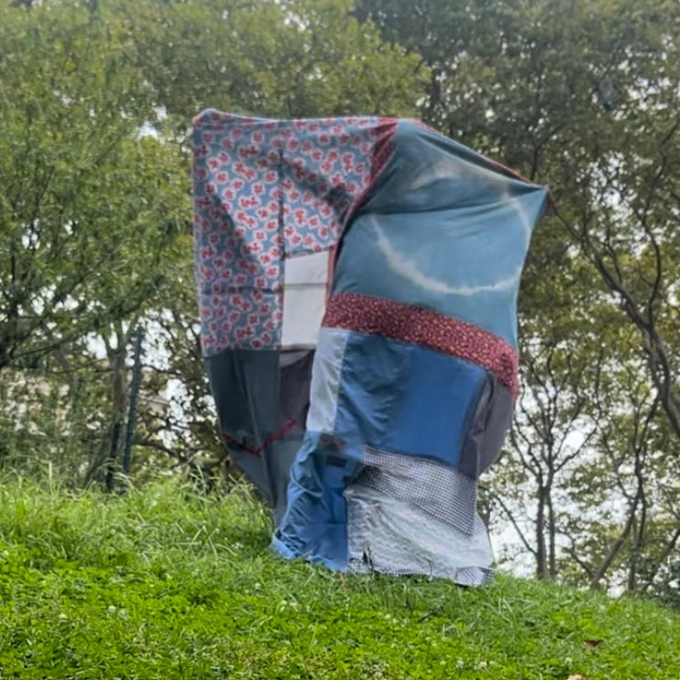 Basking blanket ii Image 2