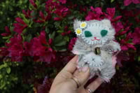Image 1 of 🌼Paige🌼 Kitty🐾