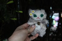 Image 2 of 🌼Paige🌼 Kitty🐾