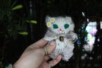 Image 5 of 🌼Paige🌼 Kitty🐾