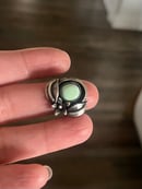 Image 5 of Turquoise Ring II 