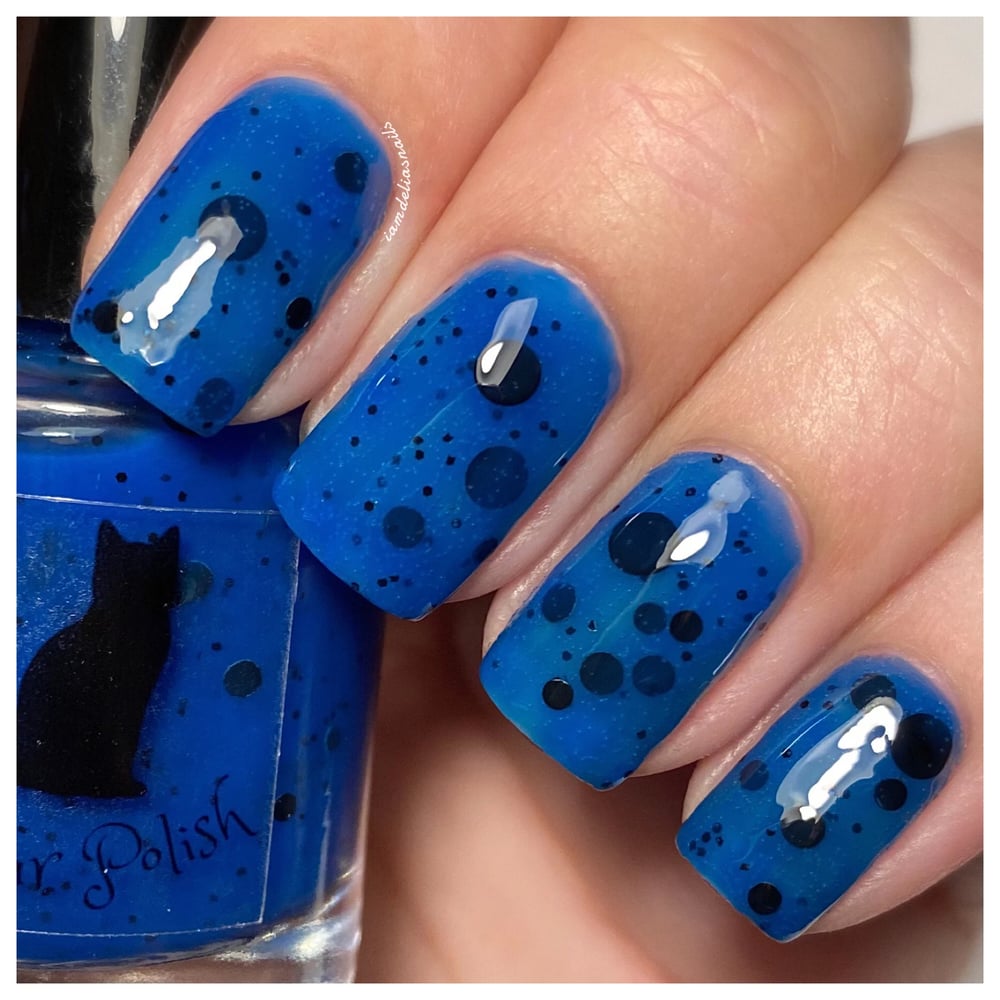 Image of Coraline Jones!