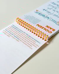 Image 2 of Rules to Live By Risograph Zine
