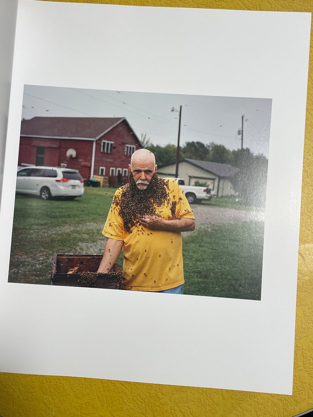 BK: Curran Hatleberg - River's Dream (Stamped & Signed "Red" Edition of 1000) Photography Yale