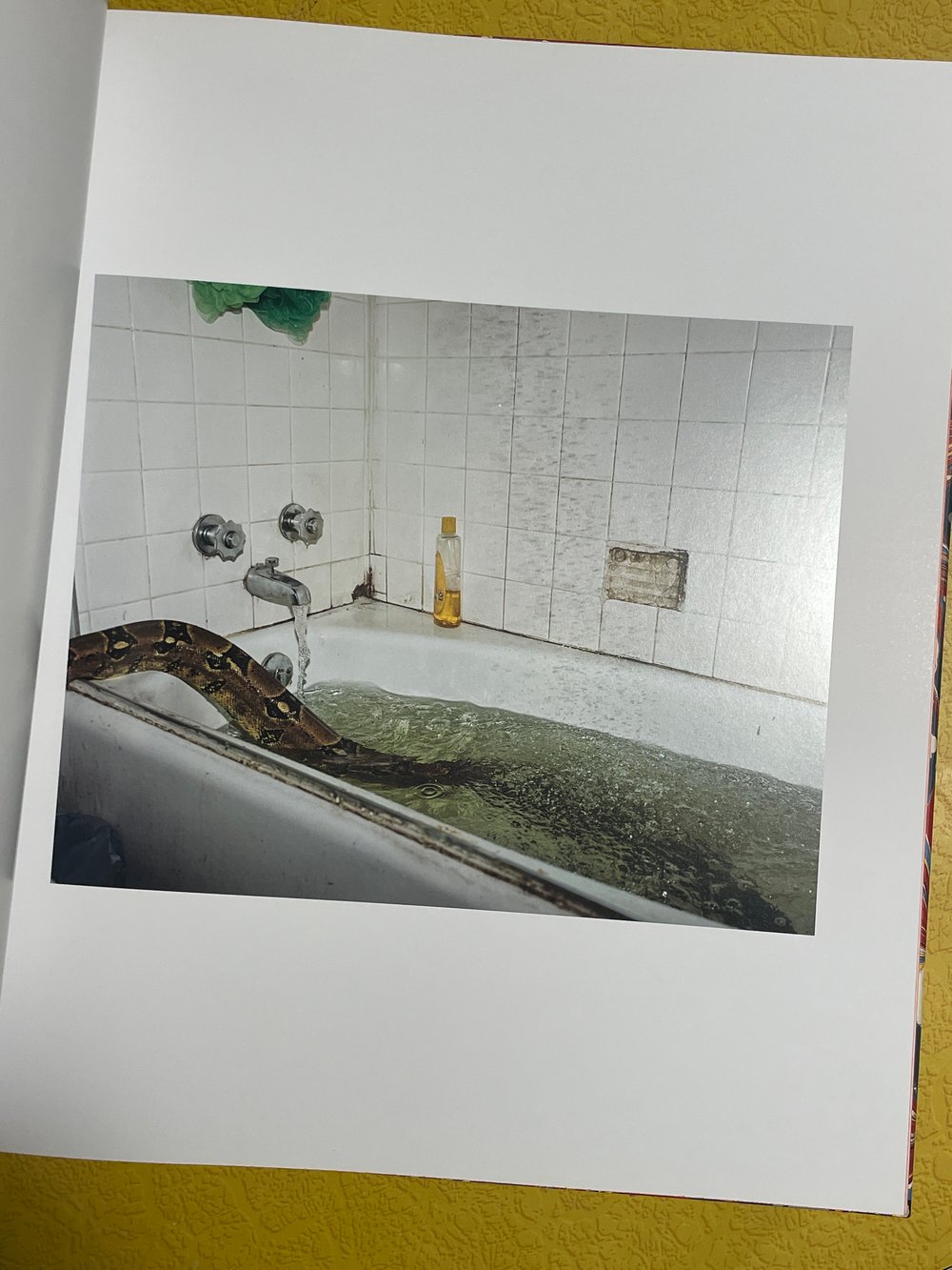 BK: Curran Hatleberg - River's Dream (Stamped & Signed "Red" Edition of 1000) Photography Yale