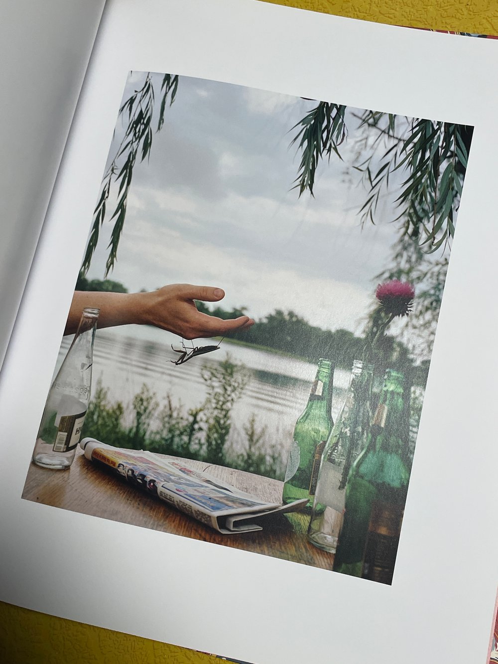 BK: Curran Hatleberg - River's Dream (Stamped & Signed "Red" Edition of 1000) Photography Yale