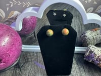 Image 6 of Ukanite Stud Earrings