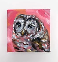 Image 1 of Woodland Guardian – barred owl mini painting