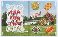 Image 4 of Softgrit Magazine