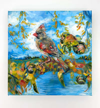 Image 1 of By the River – Female cardinal in the walnut tree