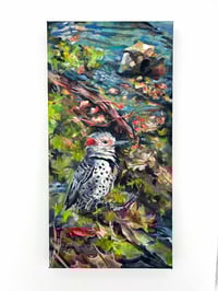 Image 1 of Streaming – Northern Flicker Painting