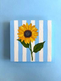 Image 2 of Sunflower 