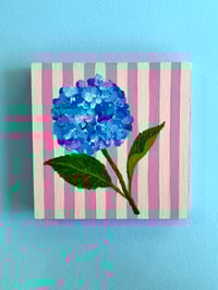 Image 4 of Hydrangea 