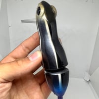 Image 2 of Silly Sally (Blue Tailed Skink)