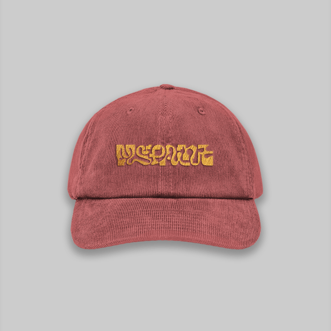 MSPAINT Corduroy Hat