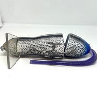 Image 3 of Silly Sally (Blue Tailed Skink)