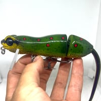 Image 1 of Silly Sally (Eastern Newt)