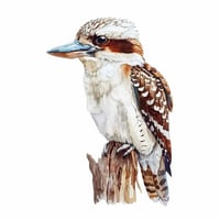 Image 1 of "Choose your own Bird" Watercolour Workshop - 15th June