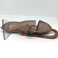 Image 3 of Silly Sally (Yellow Spotted Salamander)