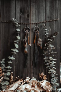 Image 1 of Hunter’s Path Earrings