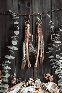 Image 3 of Carrion Wing Ear Hangers 