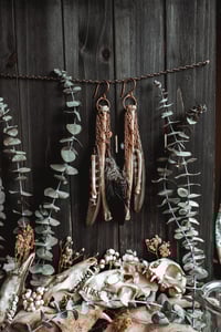 Image 5 of Carrion Wing Ear Hangers 
