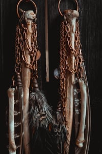 Image 6 of Carrion Wing Ear Hangers 