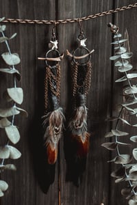 Image 1 of Serpentbind Earrings
