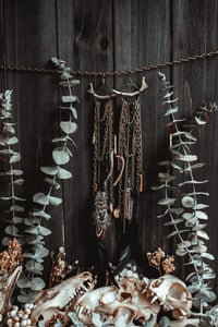 Image 2 of Gravetide Earrings