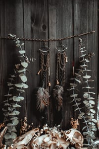 Image 1 of Hollowmoor Earrings