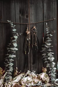 Image 3 of Bloodroot Relic