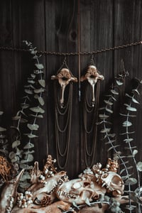 Image 2 of Wild bone earrings 