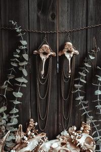 Image 1 of Wild bone earrings 